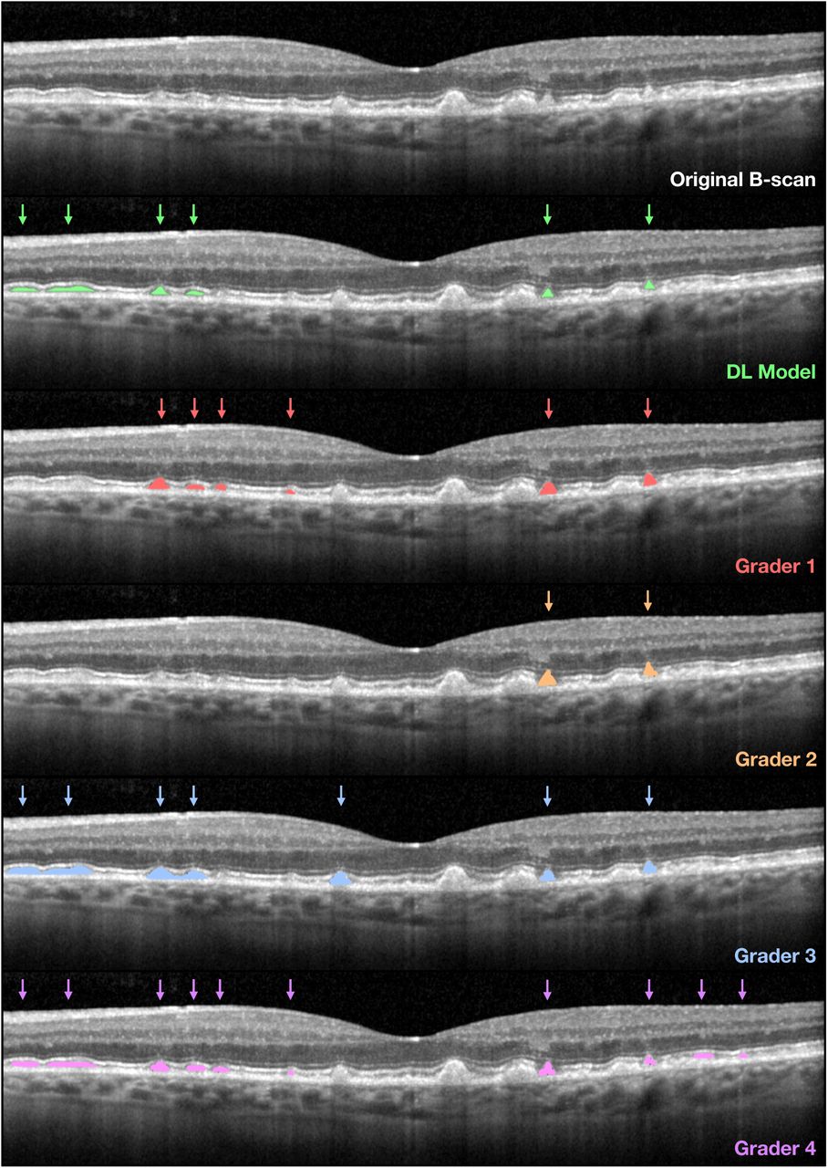 Figure1.jpg