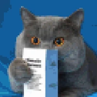 Shengyao Zhuang's profile picture