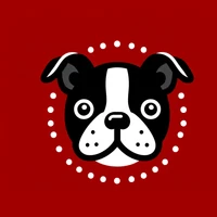 Deep Learning for Data Science's profile picture