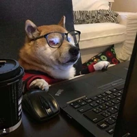 Vincent Tsai's profile picture