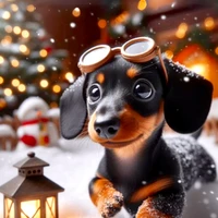 Pragaash Ponnusamy's profile picture