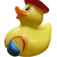 Zixu Lin's profile picture