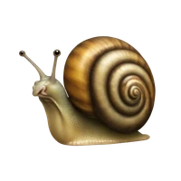 safe snail's profile picture