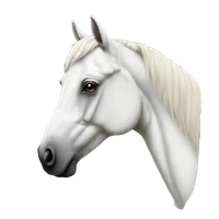 HIMANSHU DESHMUKH's profile picture