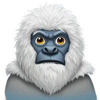 Travis Couture's profile picture