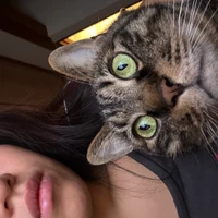 Yanmianxin's profile picture