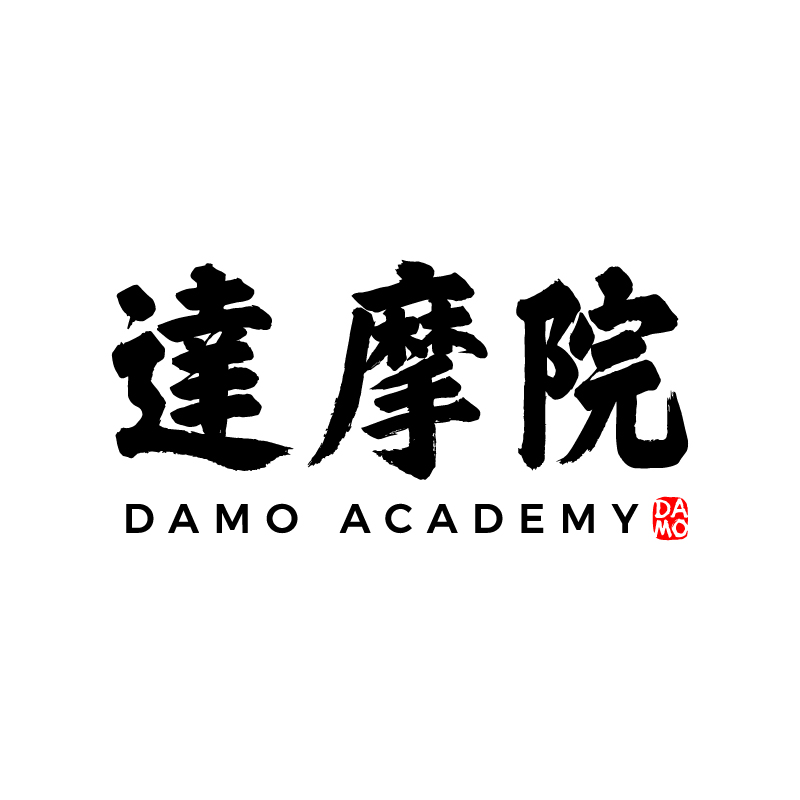 Alibaba-DAMO-Academy