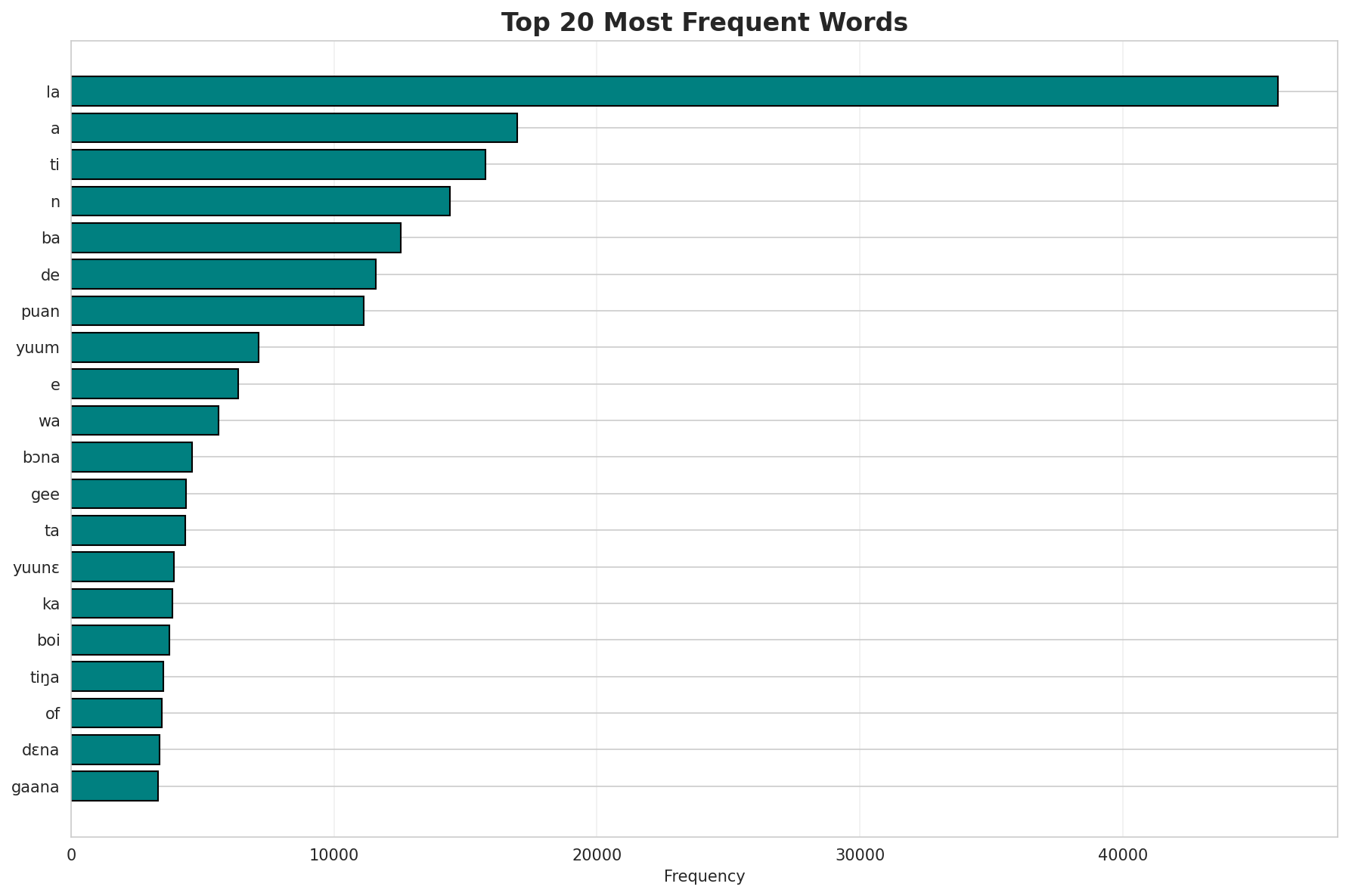 Top Words