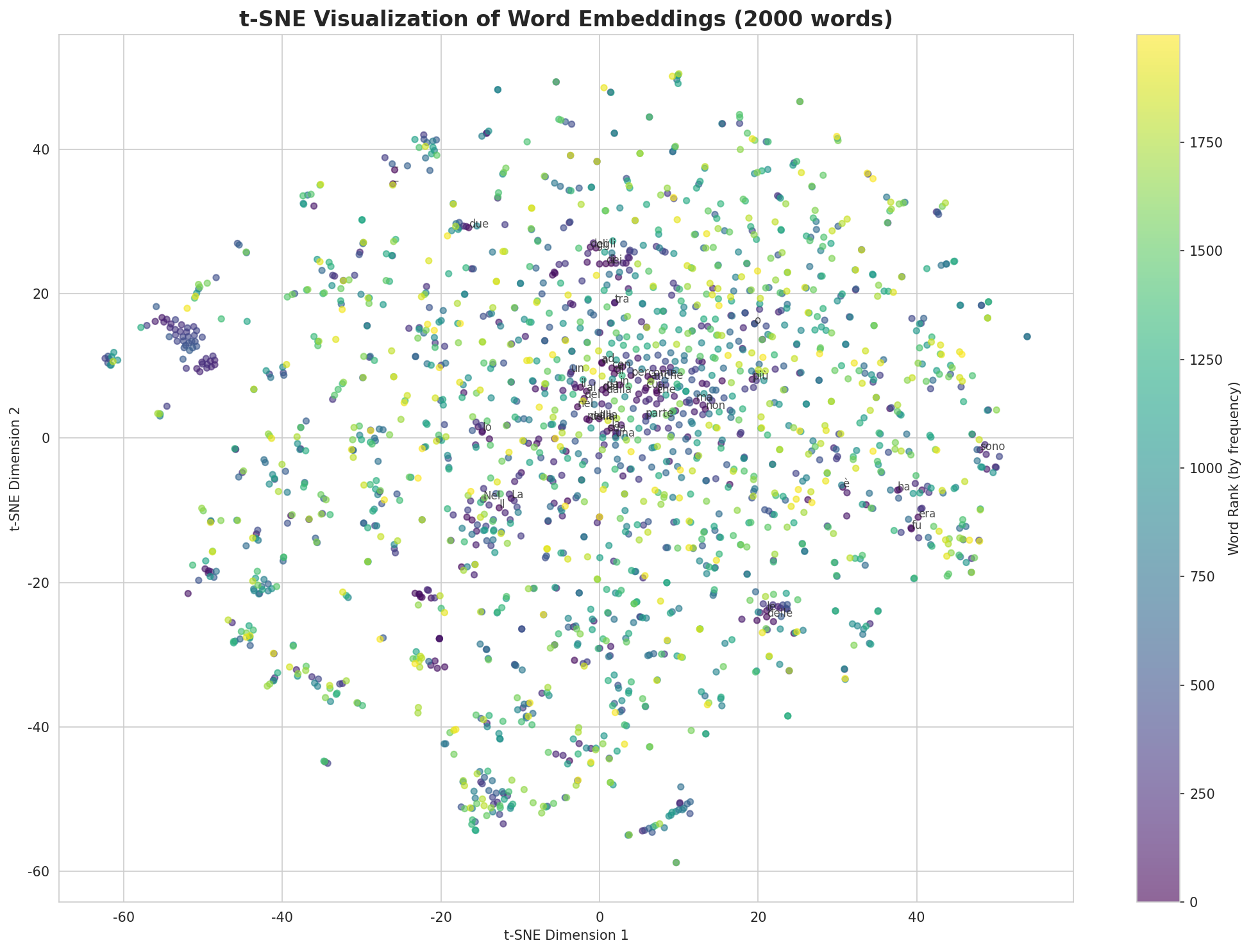 t-SNE Words