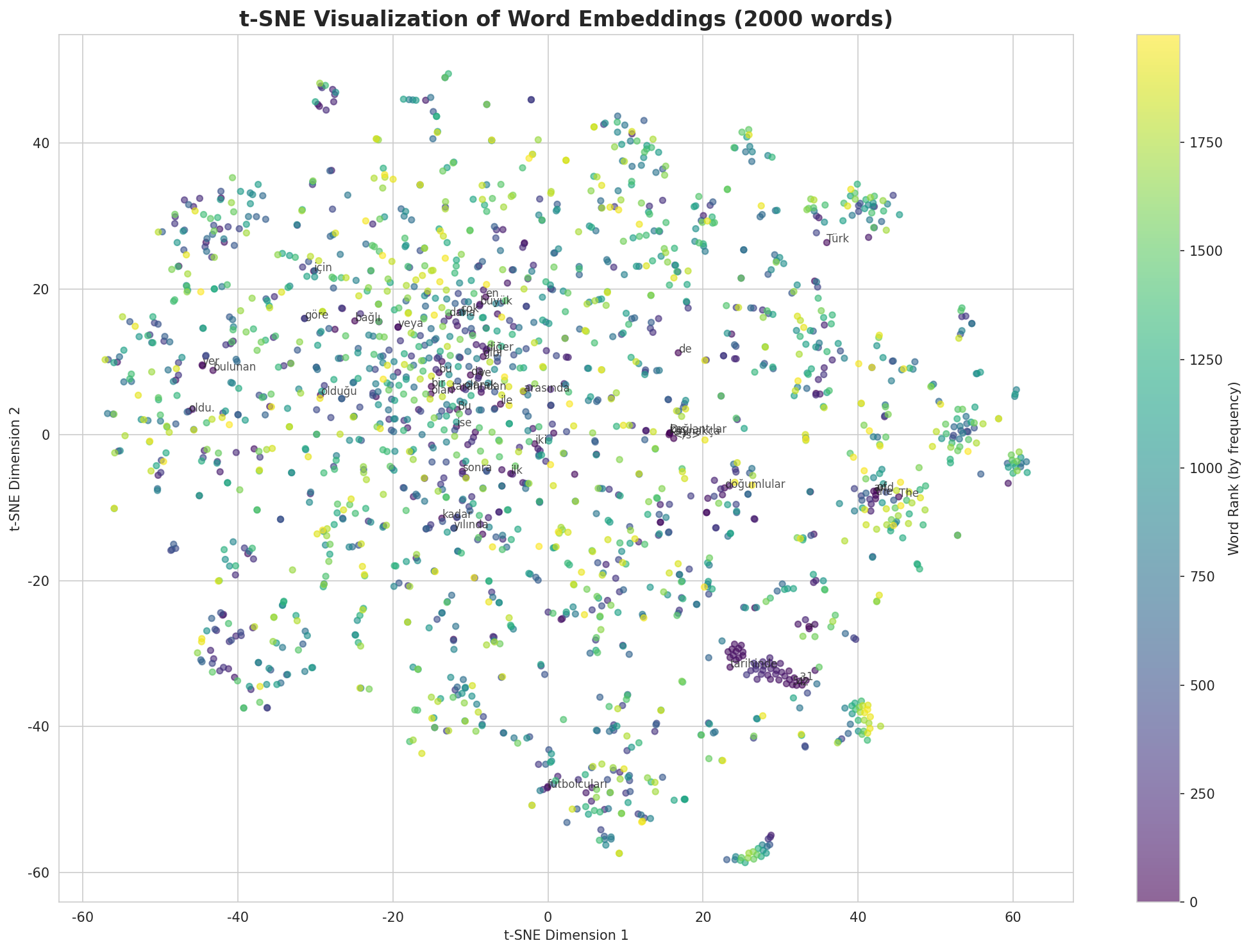 t-SNE Words
